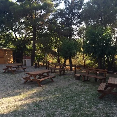 Fonteluna *